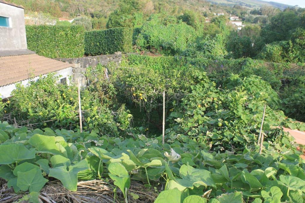 Quinta Do Areeiro Apartment Horta  Luaran gambar